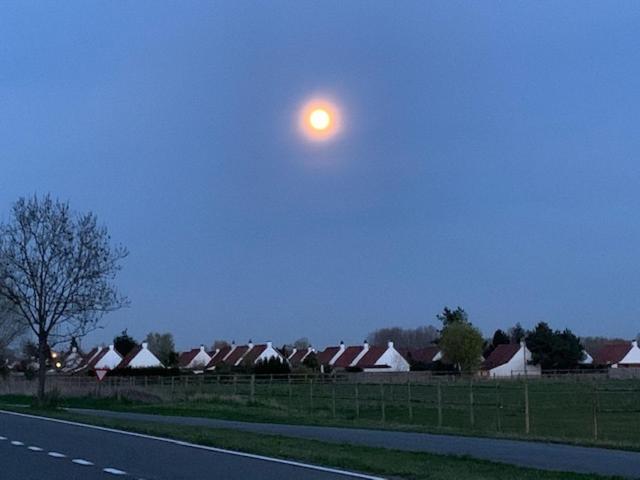 Duinendaele 232 Met Sauna Bij Plopsaland En Natuurreservaat De Panne Exterior photo